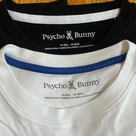 Boys Psycho Bunny t-shirts (two shirts) - Size L 14/16 - Picture 3 of 3